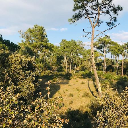 Pied A Terre A Deux Pas De La Mer, Des Commodites Сен-Жан-де-Мон Екстериор снимка